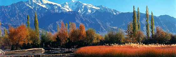 Kashmir,Jammu,Gulmarg,Sonmarg,Pahalgam,Katra,Patnitop,Vaishnodevi,India,Holiday